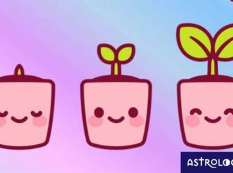 Τα τρία διαφορετικά στάδια ζωής που διανύει κάθε ζώδιο