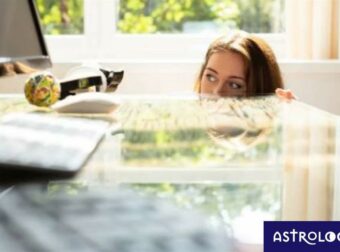 Αυτά τα ζώδια κινούνται αθόρυβα, μέχρι να φτάσουν στην κορυφή