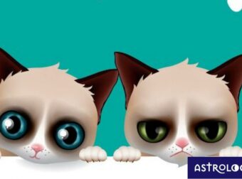 Τέσσερα ζώδια που κάνουν τους άλλους να νιώθουν μίζερα