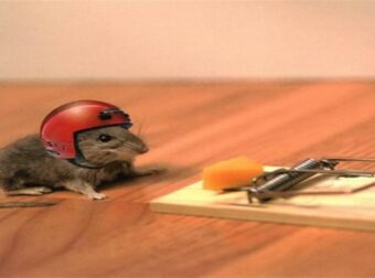 Το πάνε φιρί-φιρί: Αυτά τα ζώδια “παίρνουν” το ρίσκο τους και δεν φοβούνται τις αλλαγές