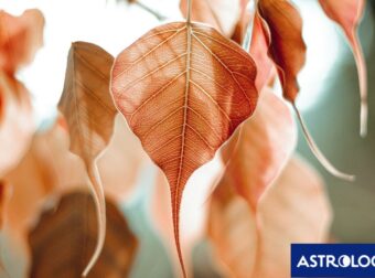 Διάβασε ΔΩΡΕΑΝ την προσωπική σου πρόβλεψη, για σήμερα 11/09/2024