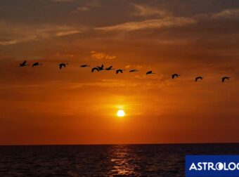 Διάβασε ΔΩΡΕΑΝ την προσωπική σου πρόβλεψη, για σήμερα 12/09/2024