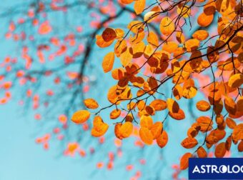 Διάβασε ΔΩΡΕΑΝ την προσωπική σου πρόβλεψη, για σήμερα 05/10/2024