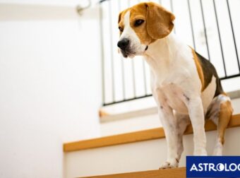 Δύο ζώδια θα νιώσουν δέσμια των επιλογών τους, σήμερα 31/10