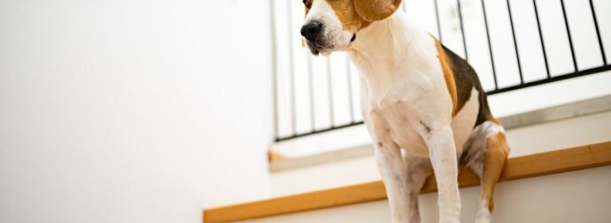 Δύο ζώδια θα νιώσουν δέσμια των επιλογών τους, σήμερα 31/10