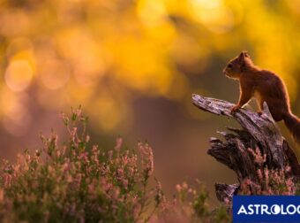 Διάβασε την προσωπική σου πρόβλεψη, για σήμερα 20/10/2024