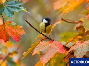 Διάβασε ΔΩΡΕΑΝ την προσωπική σου πρόβλεψη, για σήμερα 10/10/2024
