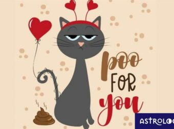 Ψήφισε και πες μας ποιο ζώδιο εκφράζει περισσότερο η γάτα στην φωτογραφία