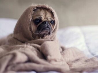 Ζώδια: Τι μας περιμένει σήμερα, Δευτέρα 30 Σεπτεμβρίου