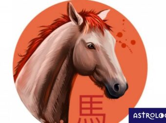 Κινέζικη Αστρολογία: Έτσι είναι το Άλογο στα αισθηματικά του