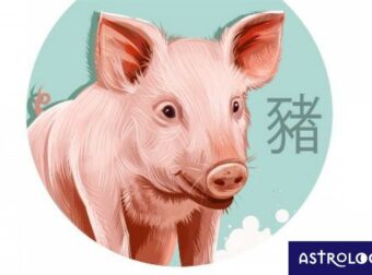 Κινέζικη Αστρολογία: Έτσι είναι ο Χοίρος στα αισθηματικά του