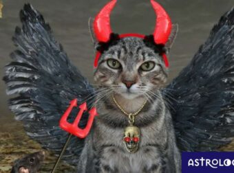 Αυτά τα ζώδια είναι… βουτηγμένα στην αμαρτία