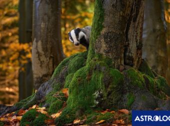 Διάβασε ΔΩΡΕΑΝ την προσωπική σου πρόβλεψη, για σήμερα 06/10/2024