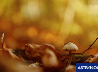 Διάβασε ΔΩΡΕΑΝ την προσωπική σου πρόβλεψη, για σήμερα 01/10/2024