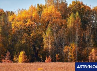 Διάβασε ΔΩΡΕΑΝ την προσωπική σου πρόβλεψη, για σήμερα 07/10/2024
