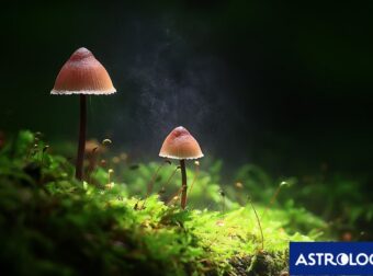 Διάβασε την προσωπική σου πρόβλεψη, για σήμερα 14/11/2024