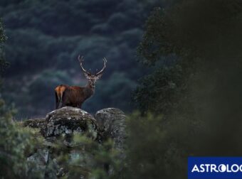 Διάβασε την προσωπική σου πρόβλεψη, για σήμερα 29/11/2024