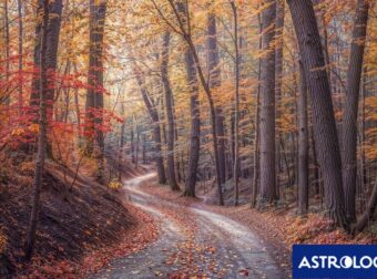 Διάβασε την προσωπική σου πρόβλεψη, για σήμερα 08/11/2024