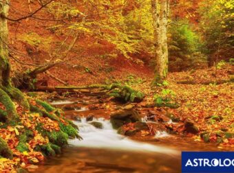 Διάβασε την προσωπική σου πρόβλεψη, για σήμερα 24/11/2024