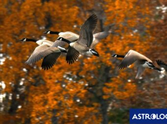 Διάβασε την προσωπική σου πρόβλεψη, για σήμερα 27/11/2024