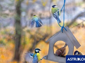 Διάβασε την προσωπική σου πρόβλεψη, για σήμερα 09/11/2024