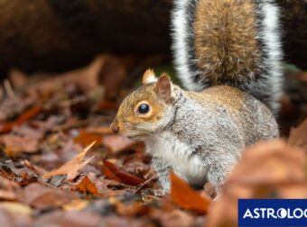 Διάβασε την προσωπική σου πρόβλεψη, για σήμερα 03/11/2024