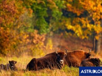 Διάβασε την προσωπική σου πρόβλεψη, για σήμερα 15/11/2024