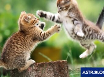 Δύο ζώδια θα έχουν «πολεμική διάθεση», σήμερα, 14/11