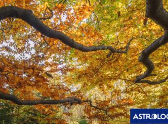 Διάβασε την προσωπική σου πρόβλεψη, για σήμερα 16/11/2024