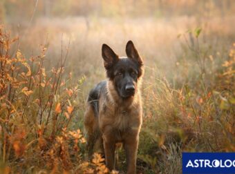 Διάβασε την προσωπική σου πρόβλεψη, για σήμερα 05/11/2024