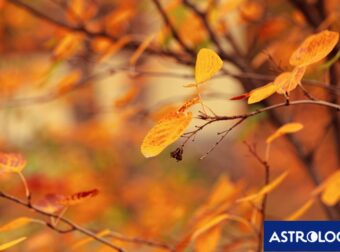 Διάβασε την προσωπική σου πρόβλεψη, για σήμερα 12/11/2024
