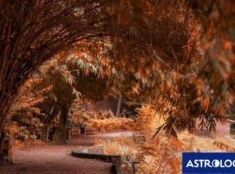 Διάβασε την προσωπική σου πρόβλεψη, για σήμερα 26/11/2024