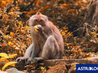 Διάβασε την προσωπική σου πρόβλεψη, για σήμερα 07/11/2024