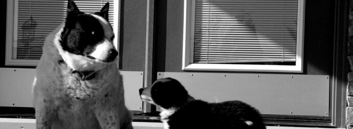 Δύο ζώδια θα έχουν ενδιαφέρουσες προτάσεις και γνωριμίες, σήμερα, 29/11