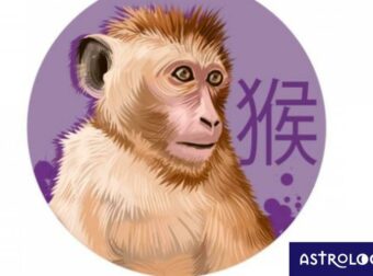Κινέζικη Αστρολογία: Έτσι είναι ο Πίθηκος στα αισθηματικά του