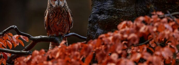 Διάβασε την προσωπική σου πρόβλεψη, για σήμερα 11/11/2024