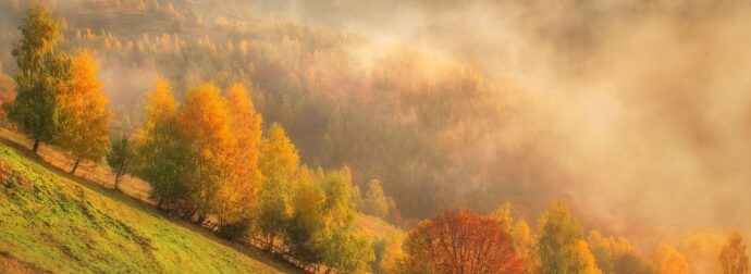 Διάβασε την προσωπική σου πρόβλεψη, για σήμερα 28/11/2024