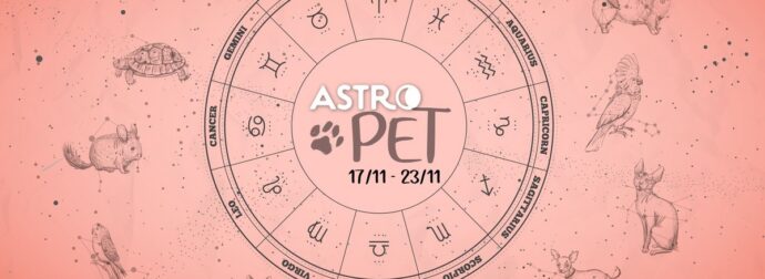 AstroPet από 17/11 έως 23/11: Εβδομαδιαίες προβλέψεις για το κατοικίδιό σου