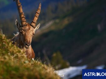 Διάβασε την προσωπική σου πρόβλεψη, για σήμερα 13/11/2024