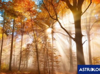 Διάβασε την προσωπική σου πρόβλεψη, για σήμερα 04/11/2024