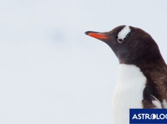 Διάβασε την προσωπική σου πρόβλεψη, για σήμερα 14/12/2024