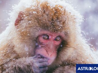 Διάβασε την προσωπική σου πρόβλεψη, για σήμερα 16/12/2024