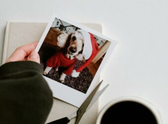 Ζώδια σήμερα, Παρασκευή 6/12: Μια ημέρα στρατηγικής και αισιοδοξίας