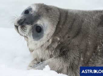 Διάβασε την προσωπική σου πρόβλεψη, για σήμερα 12/12/2024