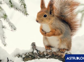 Διάβασε την προσωπική σου πρόβλεψη, για σήμερα 10/12/2024