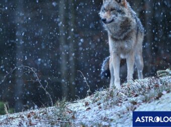 Διάβασε την προσωπική σου πρόβλεψη, για σήμερα 02/12/2024