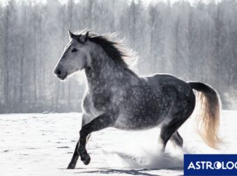 Διάβασε την προσωπική σου πρόβλεψη, για σήμερα 24/12/2024