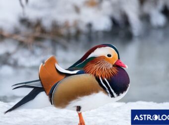 Διάβασε την προσωπική σου πρόβλεψη, για σήμερα 04/12/2024