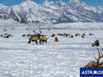 Διάβασε την προσωπική σου πρόβλεψη, για σήμερα 06/12/2024