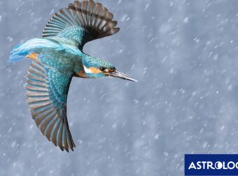 Διάβασε την προσωπική σου πρόβλεψη, για σήμερα 31/01/2025